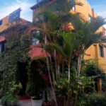 Borgoño 01
